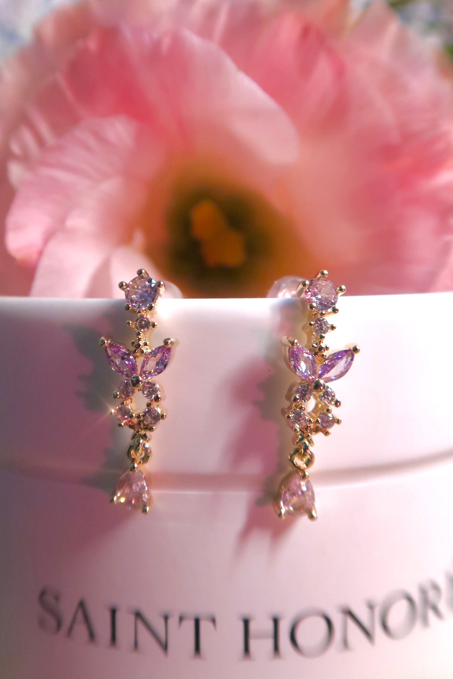 Pleasant Surrounding Earrings